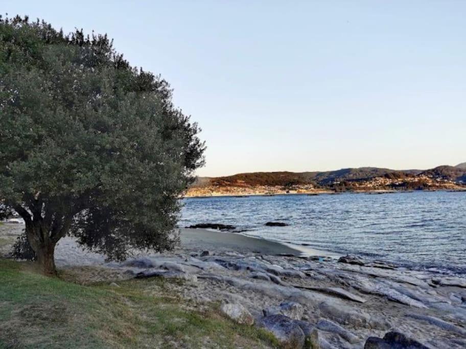 Apartamento Con Jardin Y Piscina Temporada Verano Privados Samieira Exterior foto